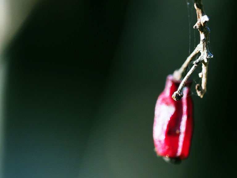 P4080701.JPG