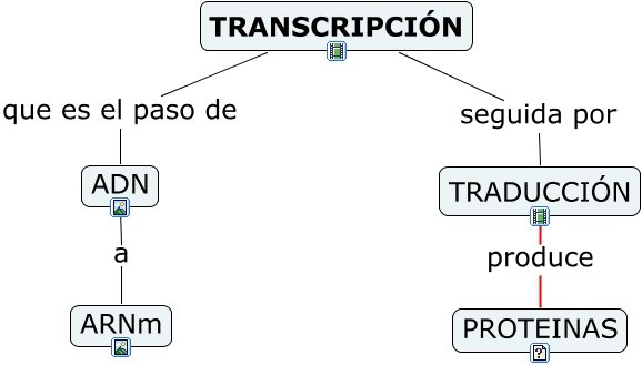 transcripción.jpg