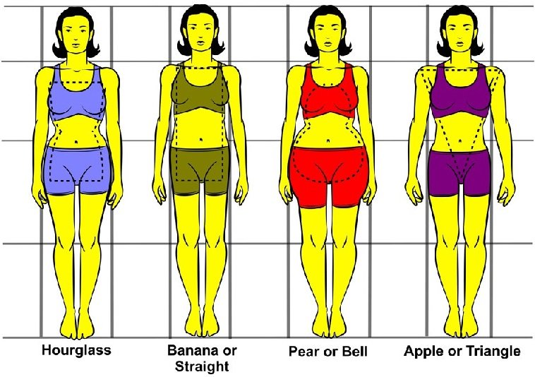 Main-Body-Shapes-for-women.jpg