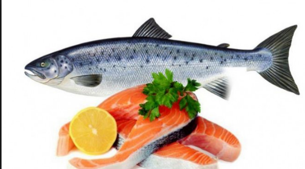 ikan salmon.png