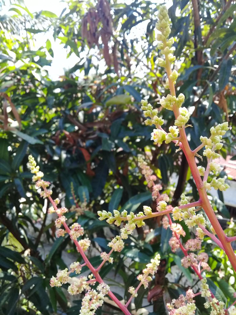20180208_111917.jpg