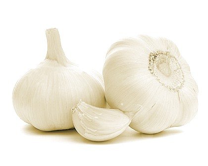 Garlic.jpg