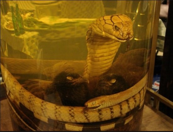 snake wine.jpg