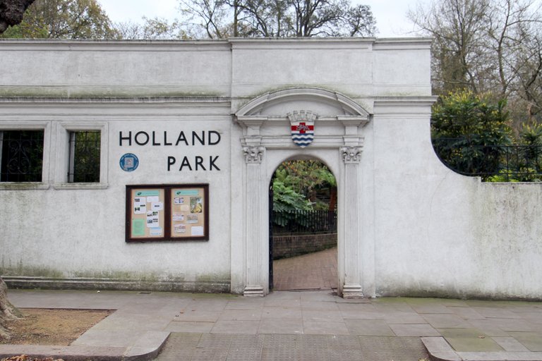 Holland Park Jerboa (10).jpg