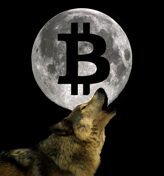 wolf bitcoin.png