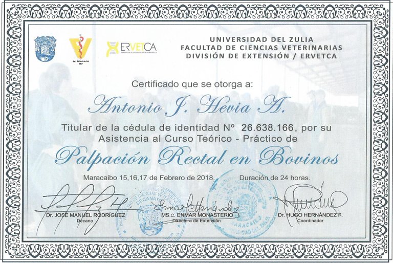 certificado palpacion en bovinos0003.jpg