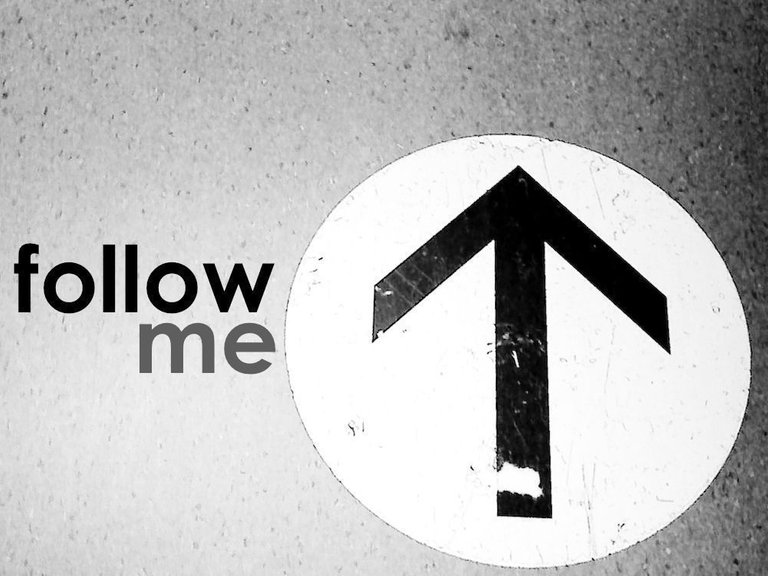 follow me.jpg