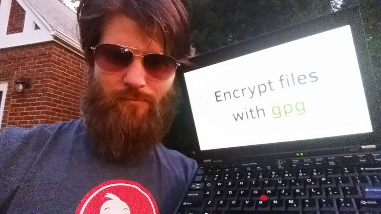 Encrypt files with gpg... and sunglasses