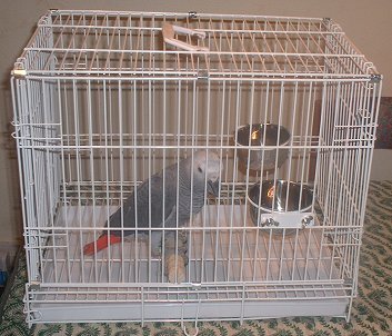 Travel-Cage.jpg