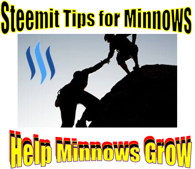 davidad minnows tip picture.png