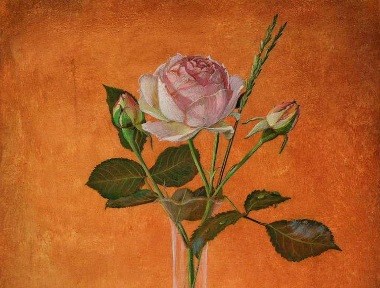 Pink Rose with Shell and Fruit detail 2.jpg