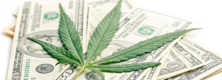 bigstock-the-cannabis-leaf-and-money-99830609DUPE.jpg