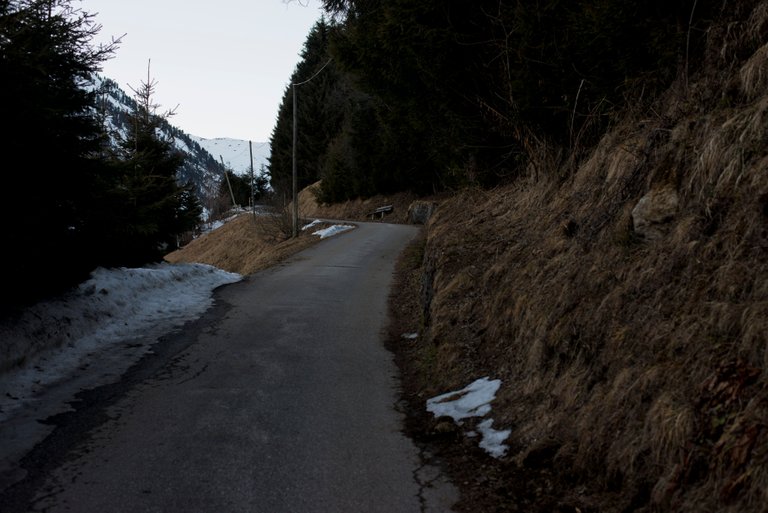 weg zum berg zillertal.jpg