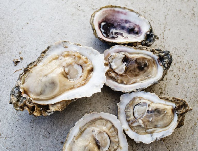 0114-on_the_table-oysters-ladies_pass_oysters_n5zp15.jpg