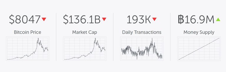 btc detail.jpg