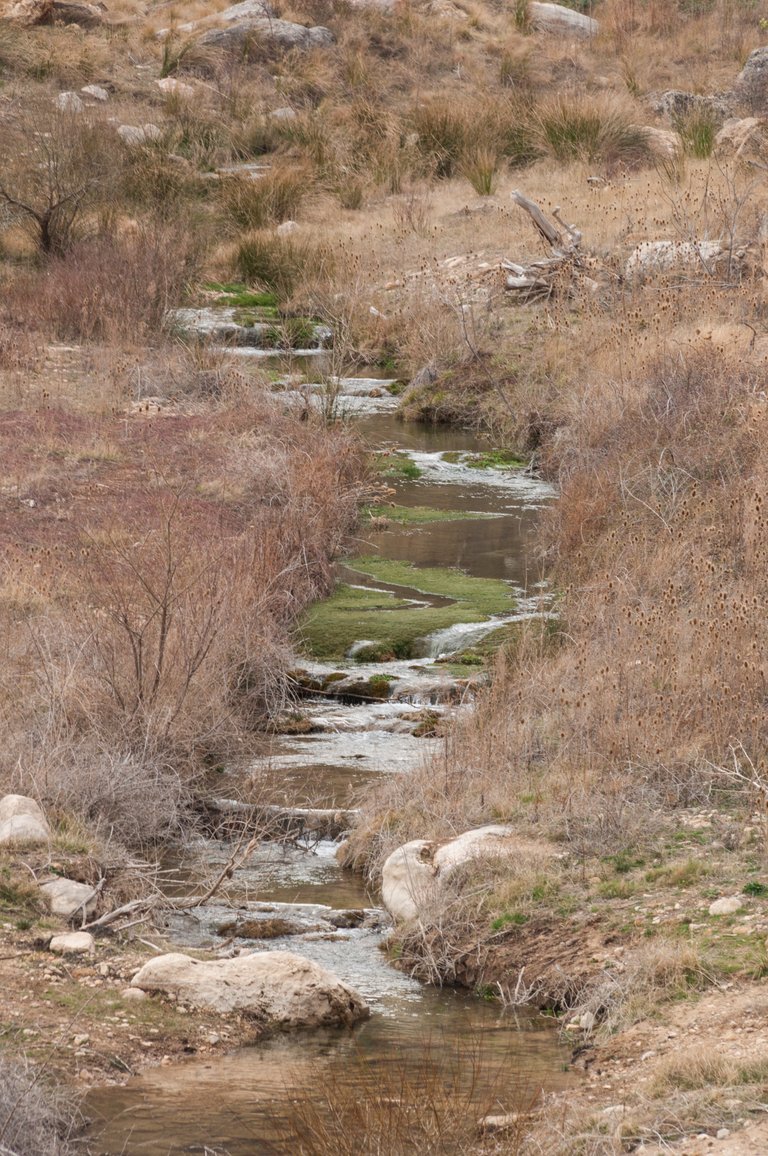 Excursión Martín del Río (14).jpg