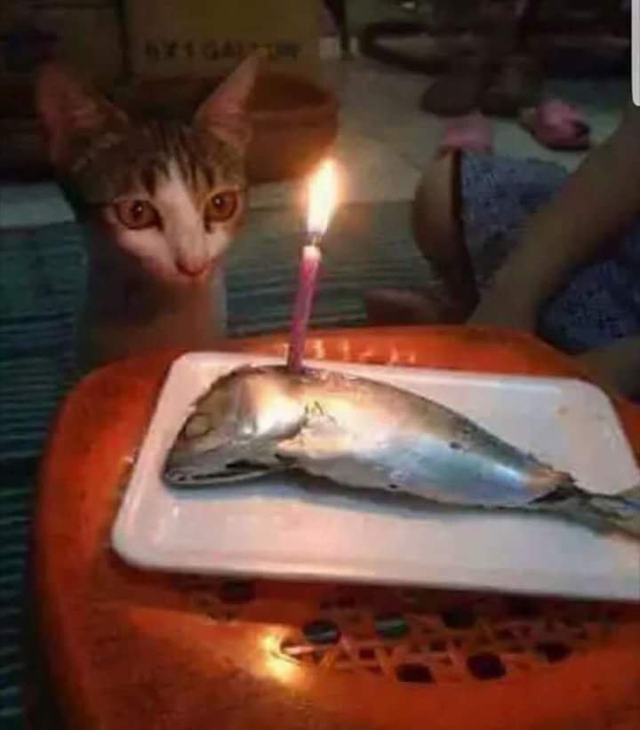 birthday.jpg