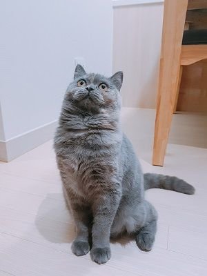 KakaoTalk_20180125_000238290.jpg