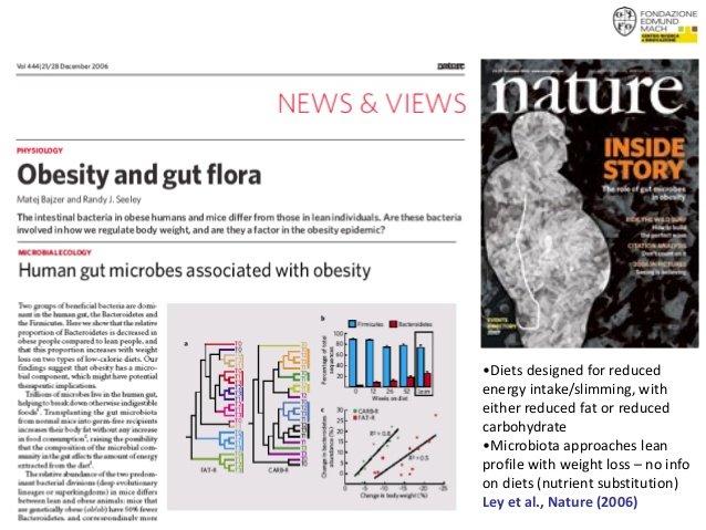 Microbiome-Obesity 2.jpeg