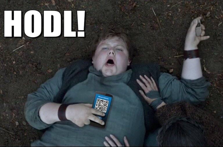 Hodl-Hodor.jpg