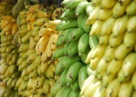 stack-of-green-and-yellow-bananas.jpg