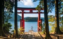 japan_hakone_a_young_woman_takes_photos_with_her_phone_of_a_torii_gate.jpg