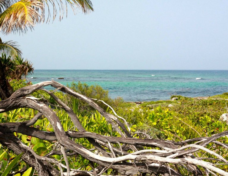 xpuha tulum mexico beach.jpg