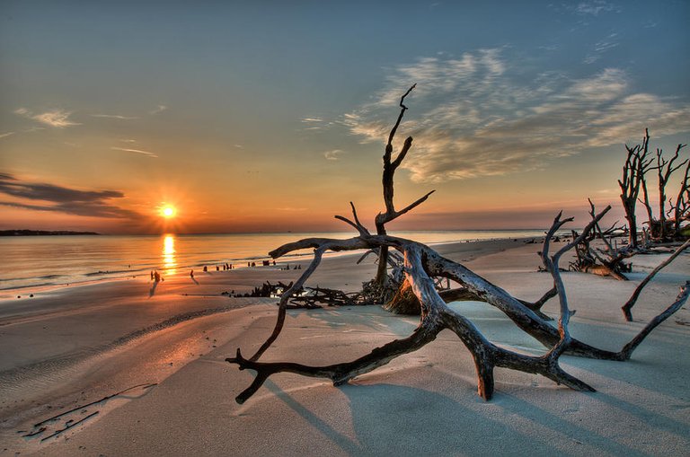 2-driftwood-beach-kudos-photography.jpg