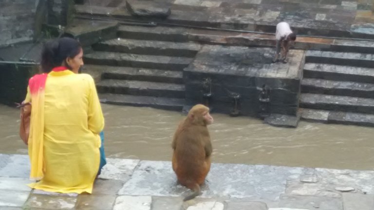 ViewAtpashupatinath.jpg