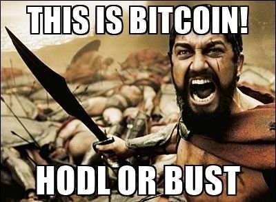 this-is-bitcoin-hodl-or-bust.jpg