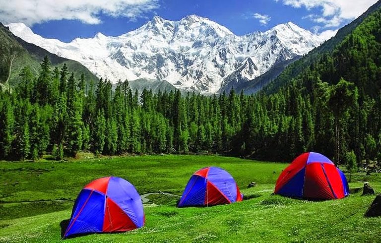 Fairy-Meadows-Pakistan-Montains-land-tourism.jpg