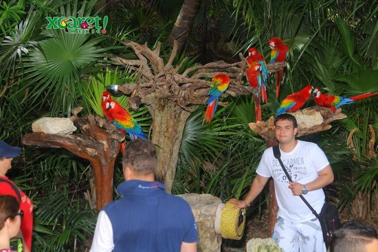 experiencias-xcaret-private.jpg