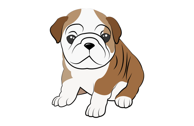 14 Bulldog Puppy .png