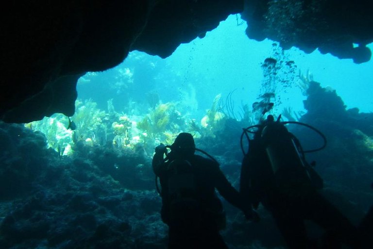 Abaco National Park2.jpg