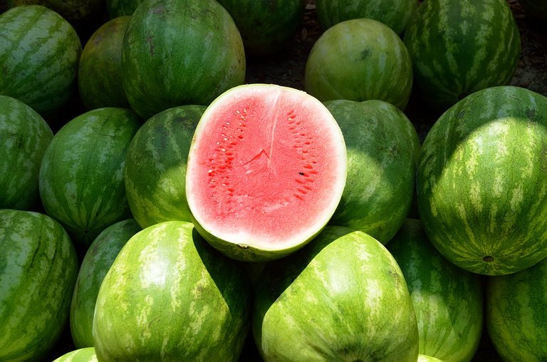 water-melon-1652093_960_720.jpg