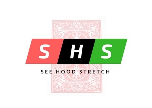 teamseehoodstretch.jpg