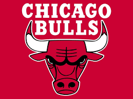 buLLS LOGO.png