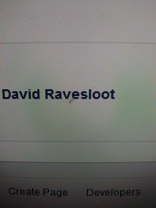 david rravesloot.jpg