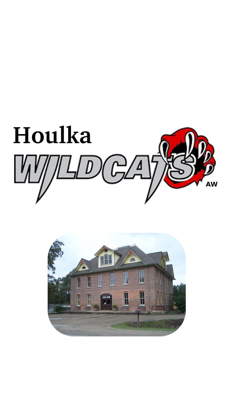 Houlka__Wildcats.png