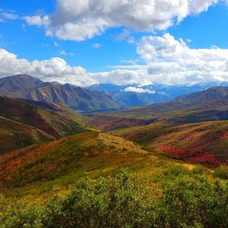 alpine loop utah 1.jpg