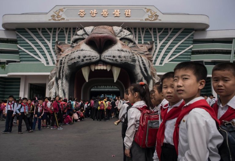 north-korea-ed-jones-museum-natural-history2.jpg