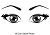 eyelash-clipart-human-eye-17.jpg