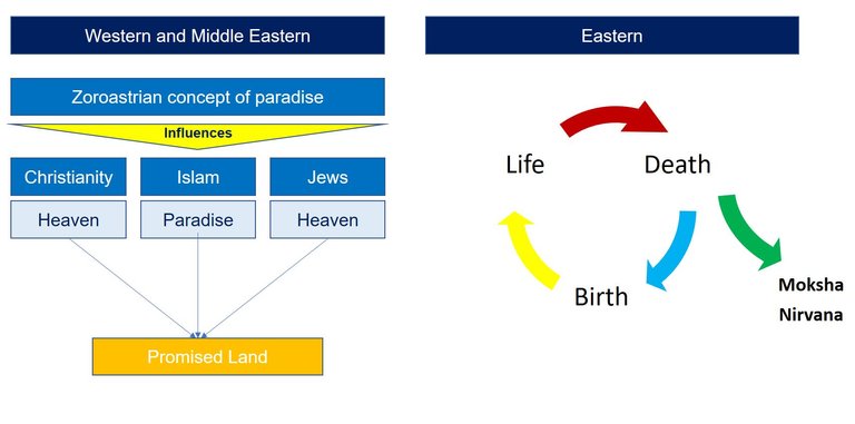 Life Cycle.JPG