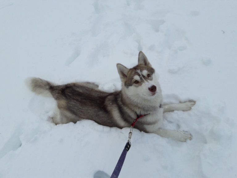20180123_150220.jpg