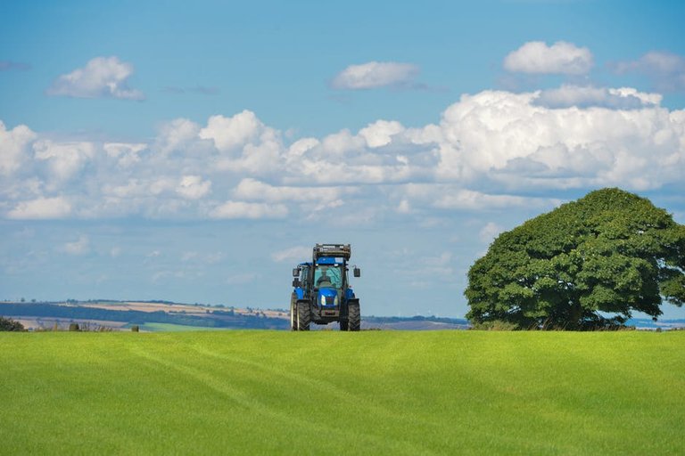 field-agriculture-farm-grass.jpg