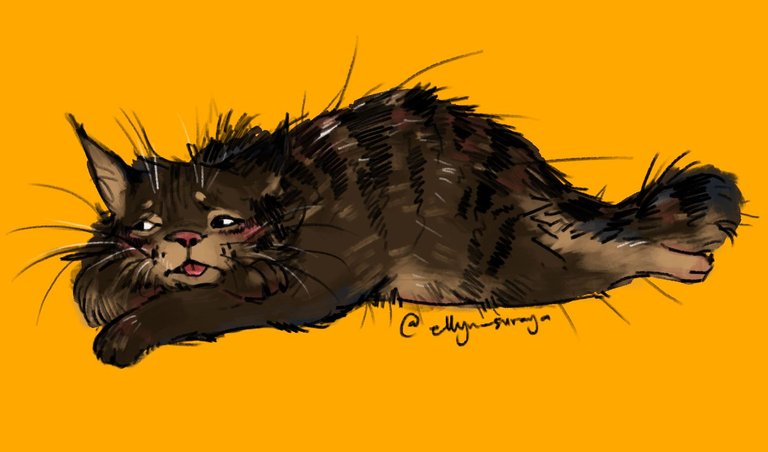 Daily Cat Drawings_6.jpg