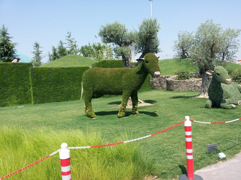 20160715_145840.jpg