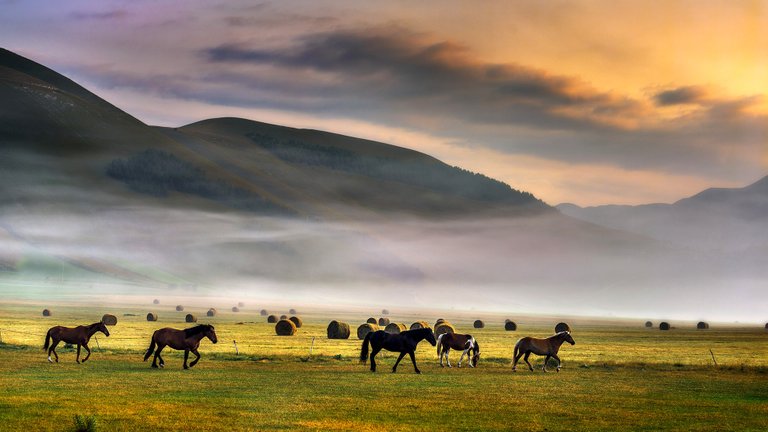 Castelluccio, Italy 1920x1080.jpg