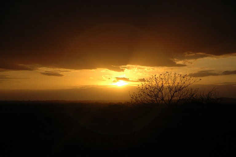 golden-sunset-kenya.jpg