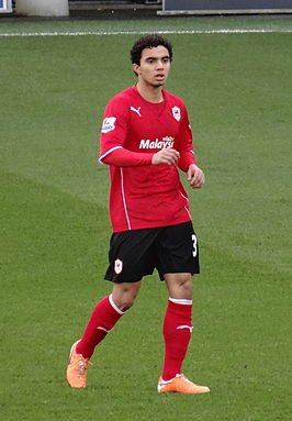 Fabio_Pereira_da_Silva_2014.jpg